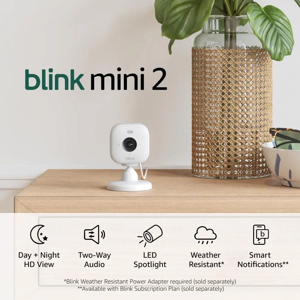 smart cameras and pet surveillance systems